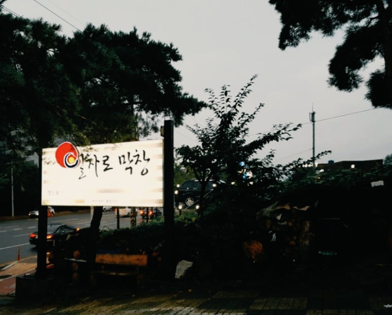 일차로막창 이미지