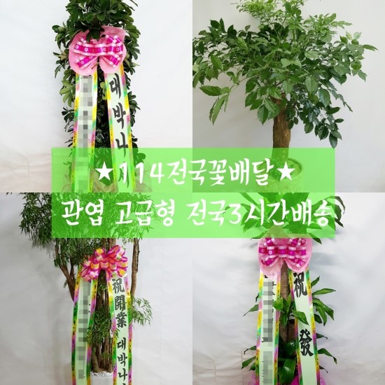 (주)오이디 이미지