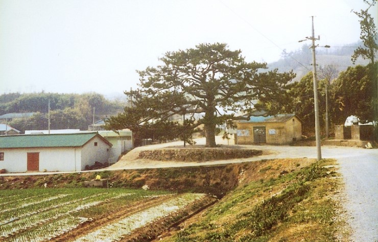 안석 이미지