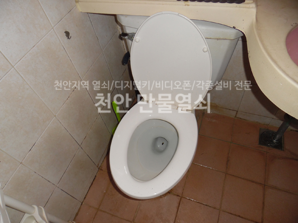 동보만물 이미지