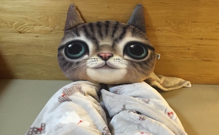 만화카페 보니 이미지