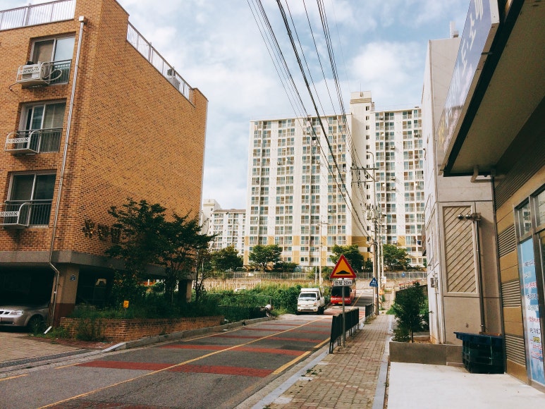 마이레몬그라스 이미지