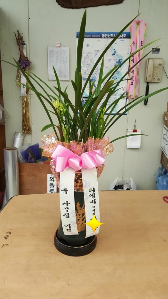 (주)에프에스티 이미지