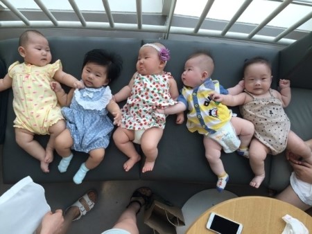 베이비엔젤스 이미지
