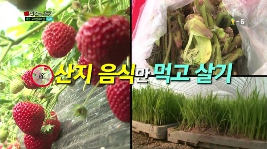 황금똥빵 이미지