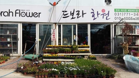 드보라화원 이미지