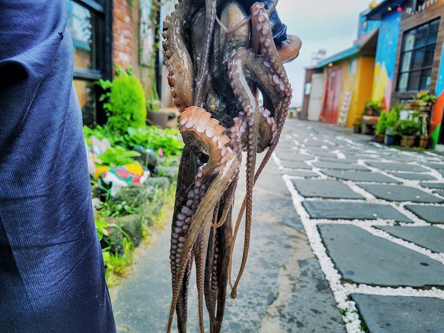 문어삼춘 이미지