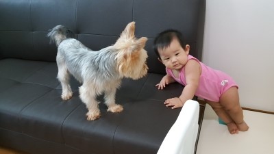 교촌치킨신곡점 이미지