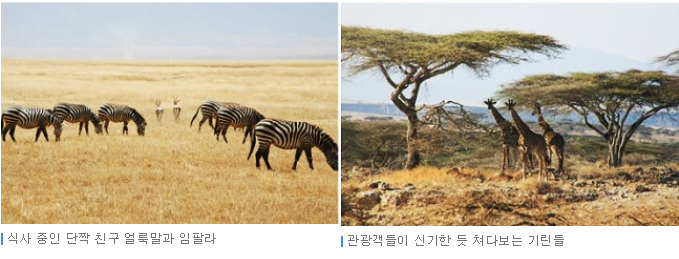 트리플짐 이미지