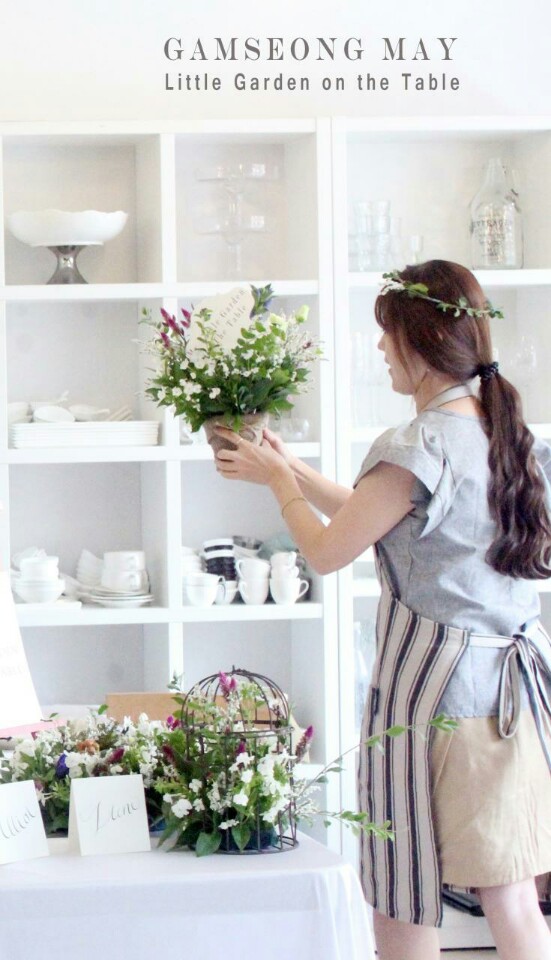 다미쿡 이미지