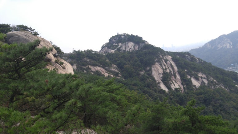인왕중학교 이미지