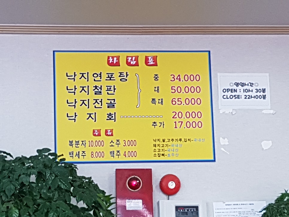 낙지아줌마 이미지