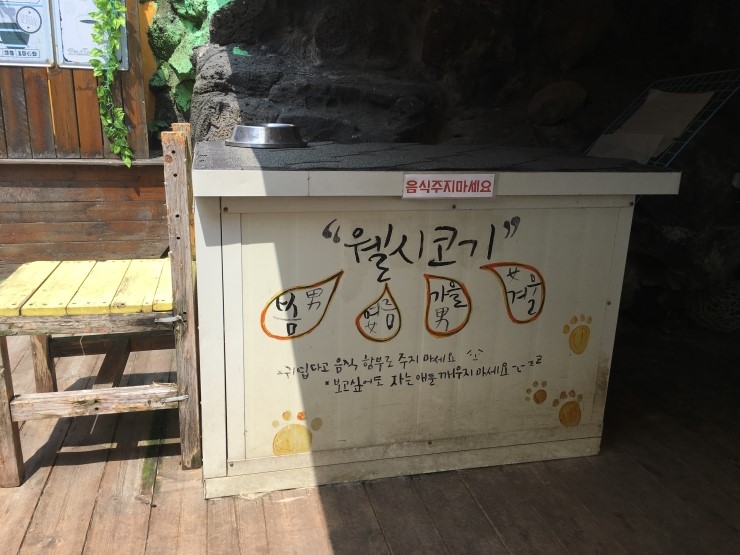 여름이와 겨울이카페 이미지