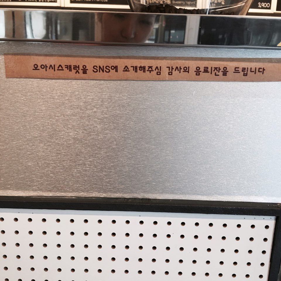 오아시스캐럿 이미지