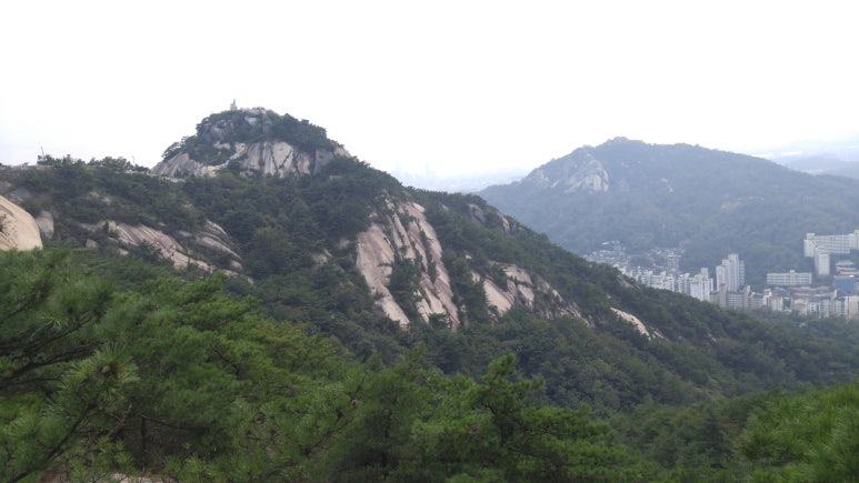 인왕중학교 이미지