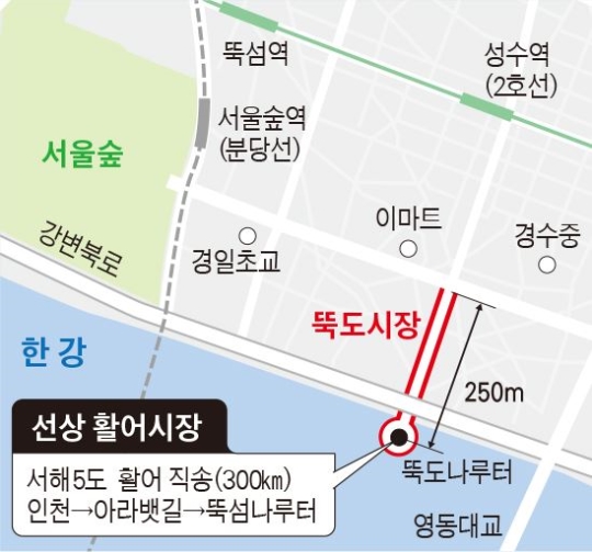 청춘활어 이미지