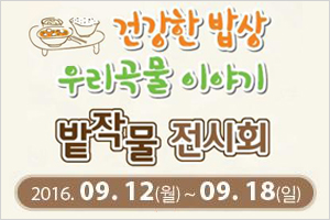 곡물이야기 이미지