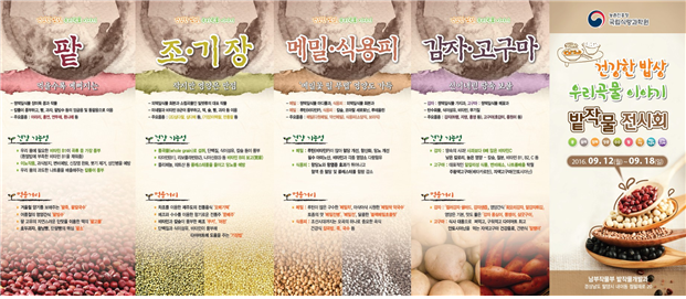 곡물이야기 이미지