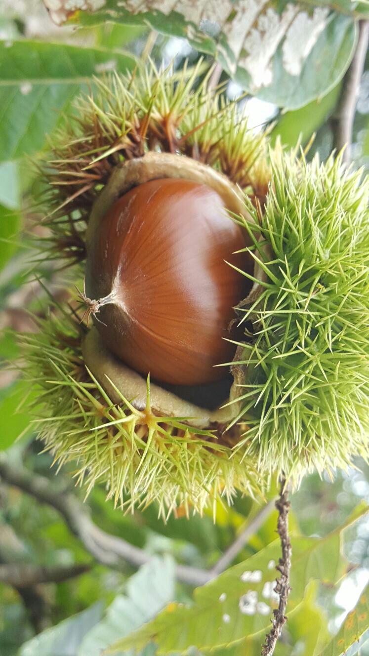 협신기업 이미지