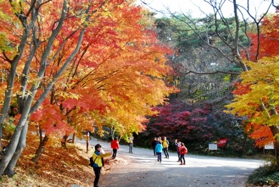 카썸 이미지