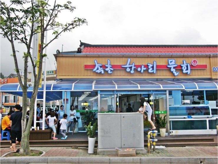 속초항아리물회 이미지