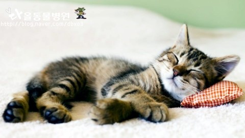 가거환경 이미지
