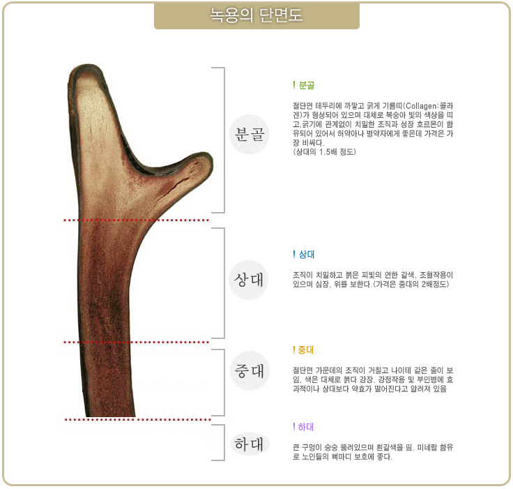 해비치한의원 이미지