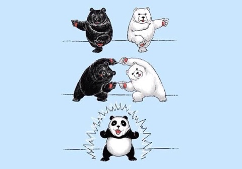 양순이네 이미지