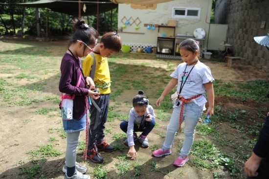 꿈꾸는애벌레자연놀이학교 이미지
