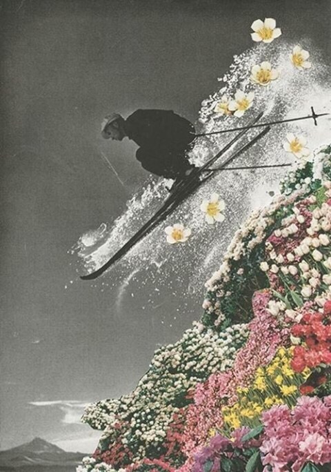 콜라주 이미지
