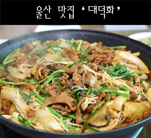 대덕화 이미지