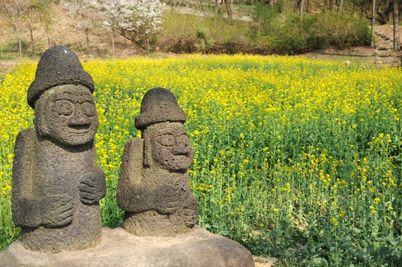 뉴중한국제여행사 이미지