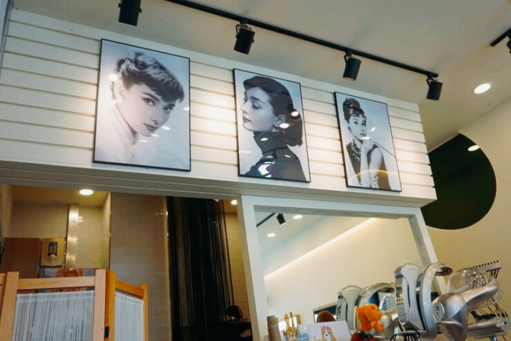 SALON DE Y(살롱드와이) 이미지