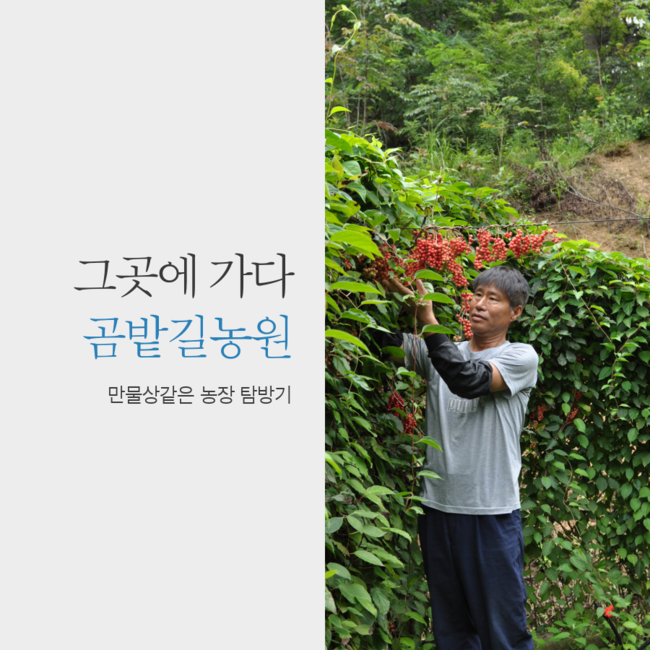 곰밭길농원 이미지