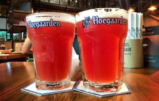 모던맥주 이미지