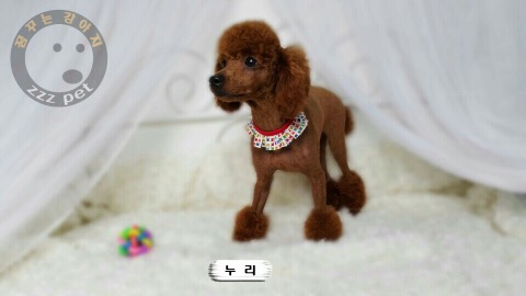 (주)바다누리 이미지