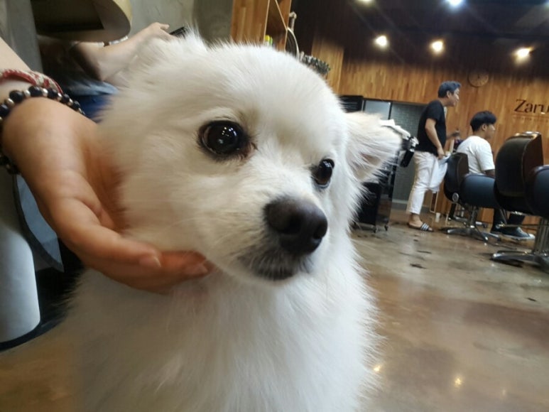자르젠미용실 이미지