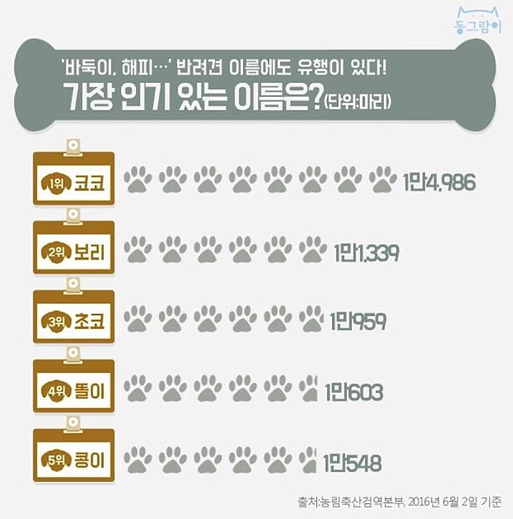 강아지이름추천 2탄 / 강아지고양이 이름짓기의 모든것 : 네이버 블로그