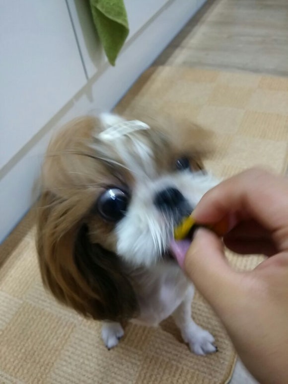 고기맘마 이미지