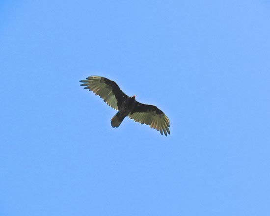복지건축사사무소 이미지