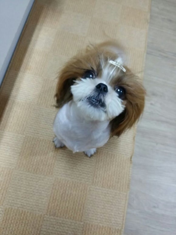 고기맘마 이미지