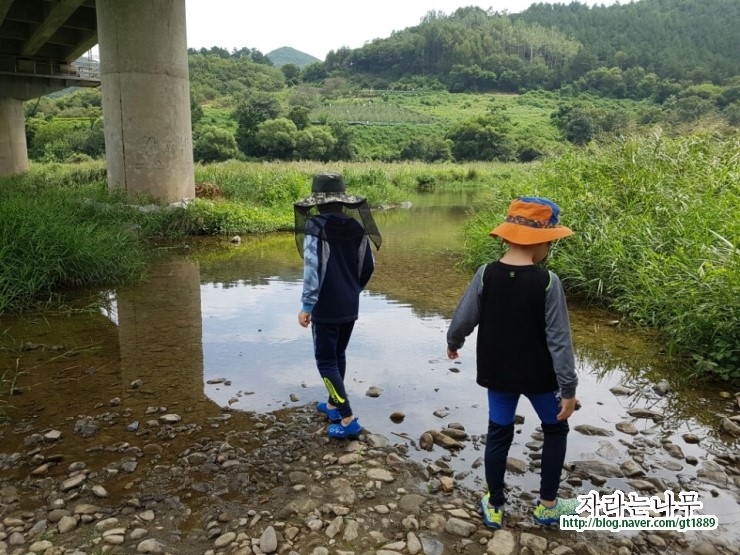 무주레저스쿨 이미지