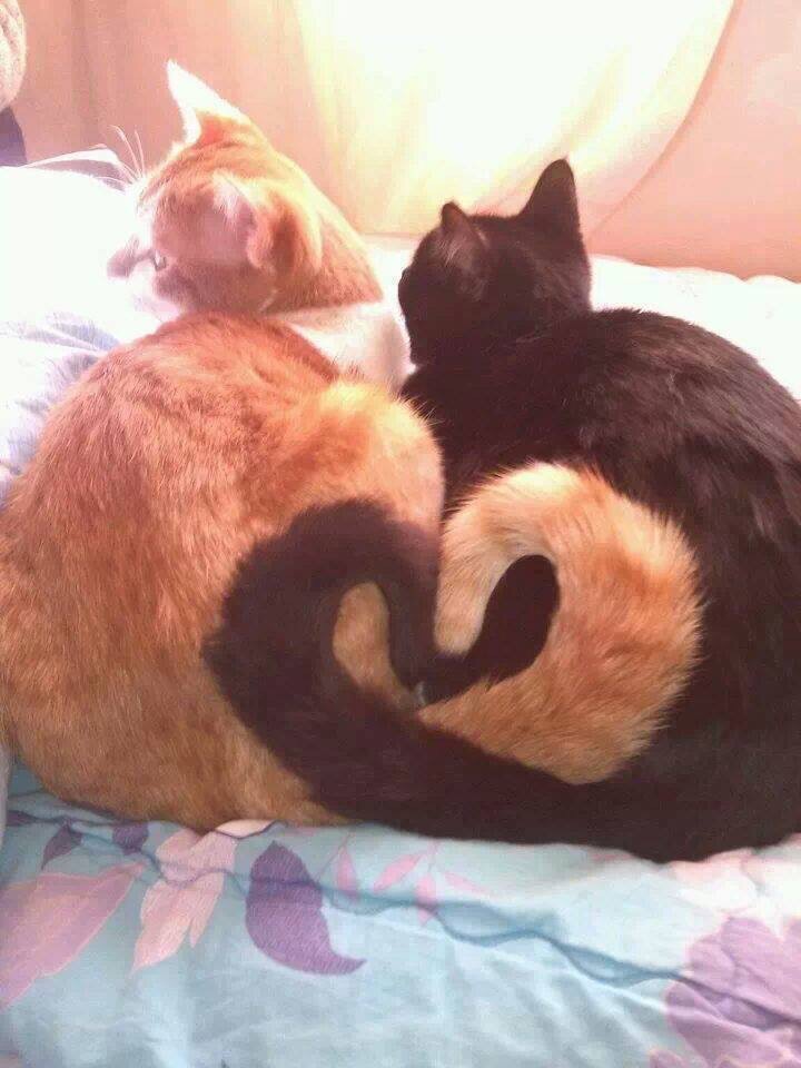 궁미용실 이미지