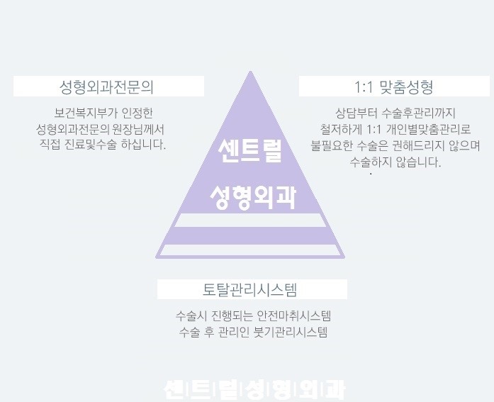 센트럴성형외과 이미지