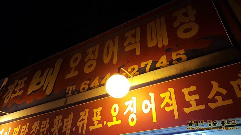경포배오징어 이미지