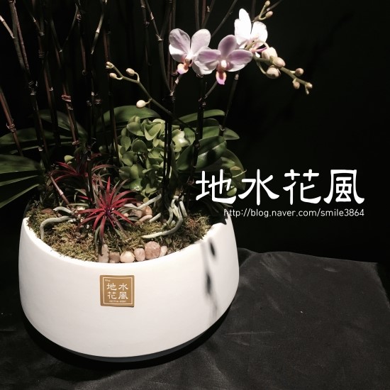 지수플라워 이미지