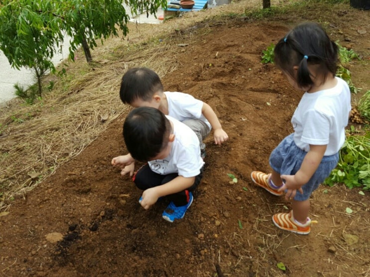 사천농원 이미지