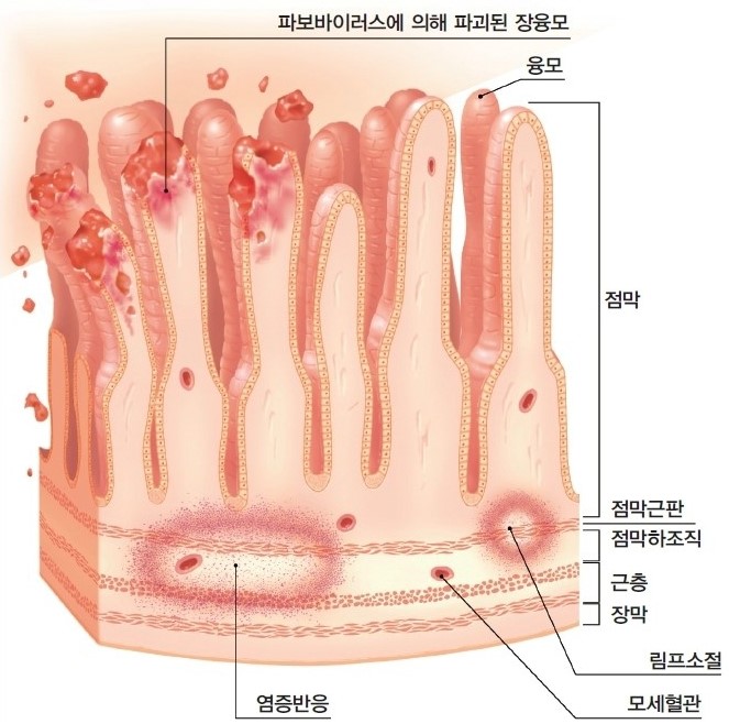 (주)에이알씨 이미지