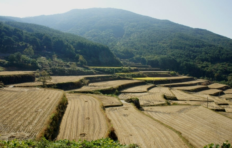 지리산사람들법인 이미지
