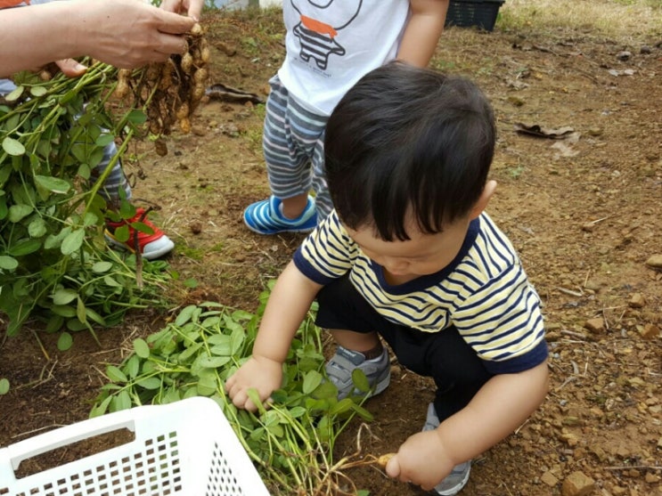 사천농원 이미지